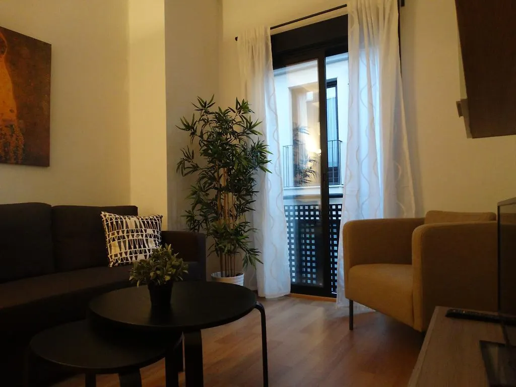 Málaga Apartamentos - Jinetes, 14